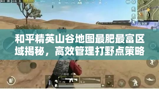 和平精英山谷地图最肥最富区域揭秘，高效管理打野点策略指南