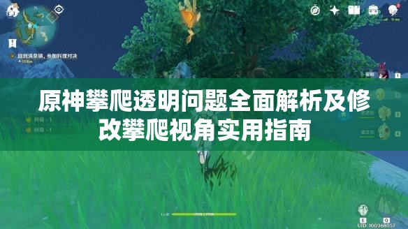 原神攀爬透明问题全面解析及修改攀爬视角实用指南