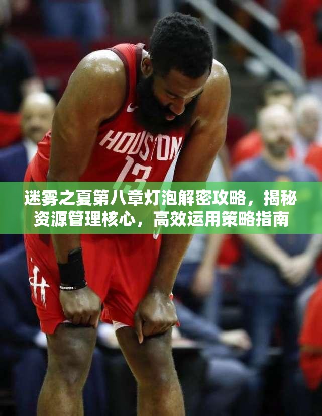 迷雾之夏第八章灯泡解密攻略，揭秘资源管理核心，高效运用策略指南