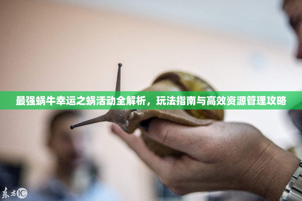 最强蜗牛幸运之蜗活动全解析，玩法指南与高效资源管理攻略