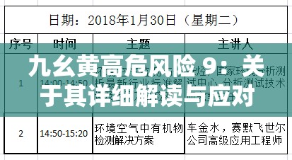 九幺黄高危风险 9：关于其详细解读与应对策略探讨