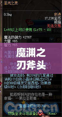 魔渊之刃斧头装备与武器戒指选择全攻略，打造最强毕业装备推荐