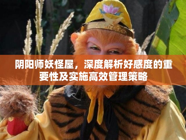 阴阳师妖怪屋，深度解析好感度的重要性及实施高效管理策略