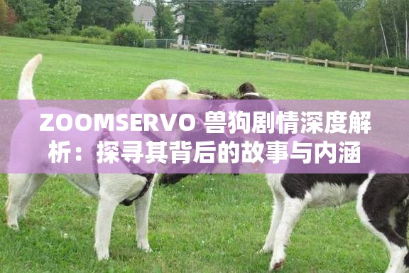 ZOOMSERVO 兽狗剧情深度解析：探寻其背后的故事与内涵