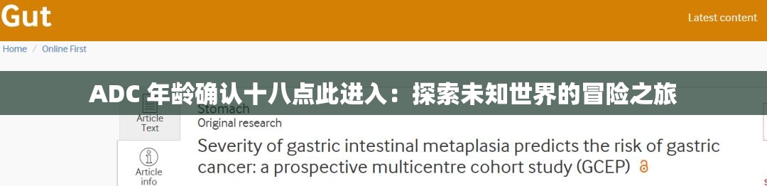 ADC 年龄确认十八点此进入：探索未知世界的冒险之旅