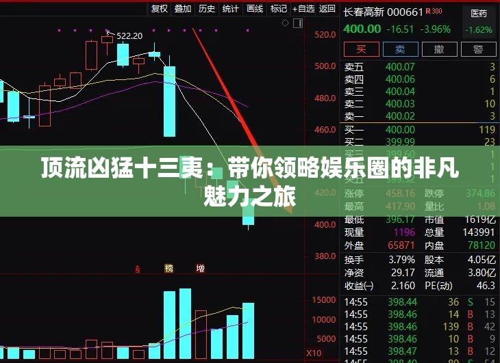 顶流凶猛十三夷：带你领略娱乐圈的非凡魅力之旅