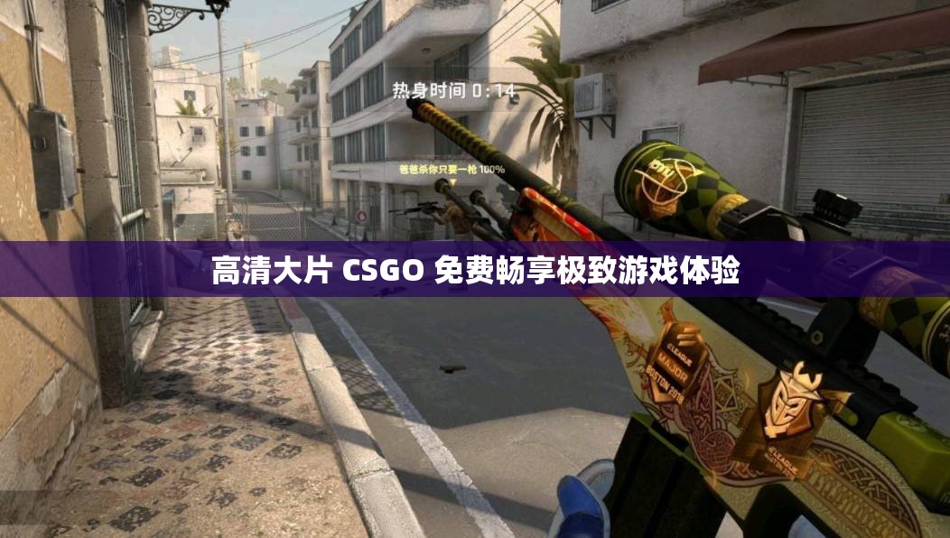 高清大片 CSGO 免费畅享极致游戏体验