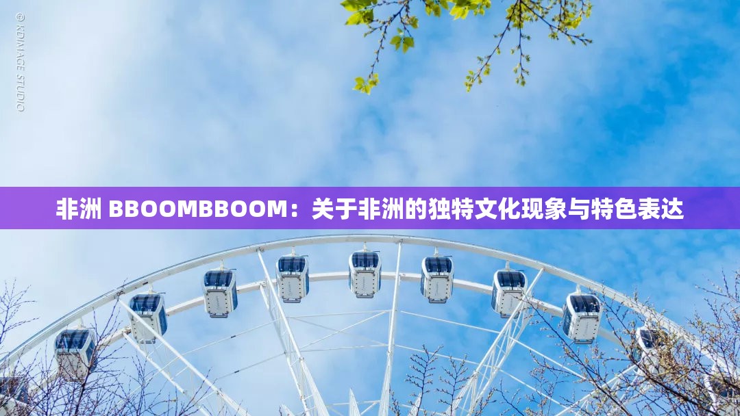 非洲 BBOOMBBOOM：关于非洲的独特文化现象与特色表达