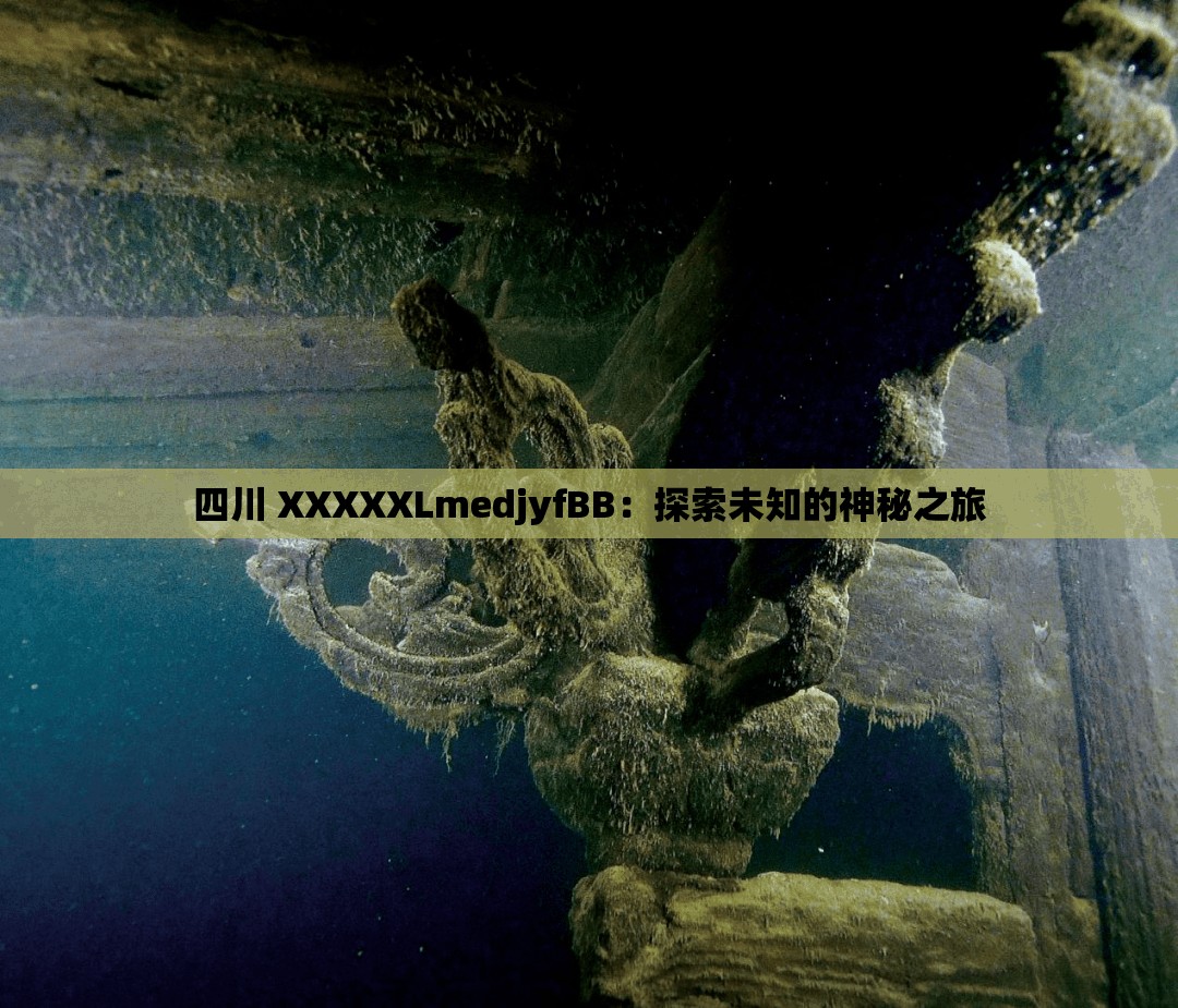 四川 XXXXXLmedjyfBB：探索未知的神秘之旅