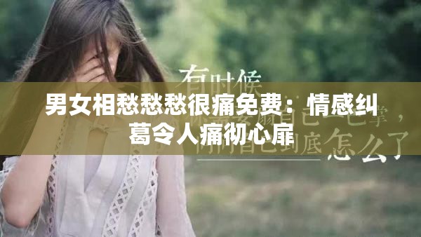 男女相愁愁愁很痛免费：情感纠葛令人痛彻心扉