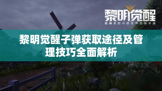 黎明觉醒子弹获取途径及管理技巧全面解析