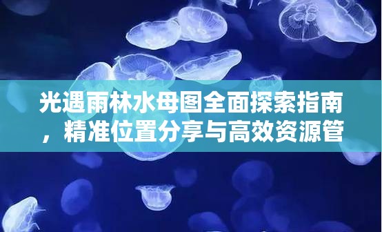 光遇雨林水母图全面探索指南，精准位置分享与高效资源管理艺术