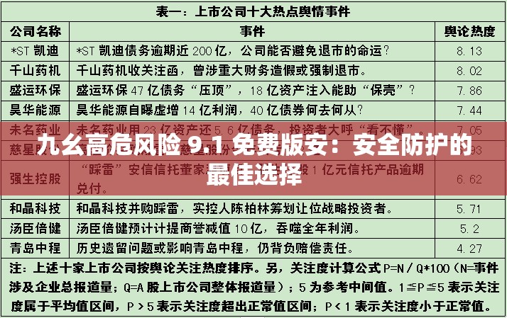 九幺高危风险 9.1 免费版安：安全防护的最佳选择