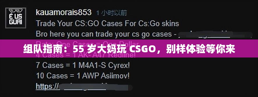 组队指南：55 岁大妈玩 CSGO，别样体验等你来