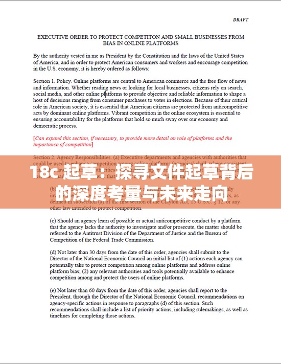 18c 起草：探寻文件起草背后的深度考量与未来走向