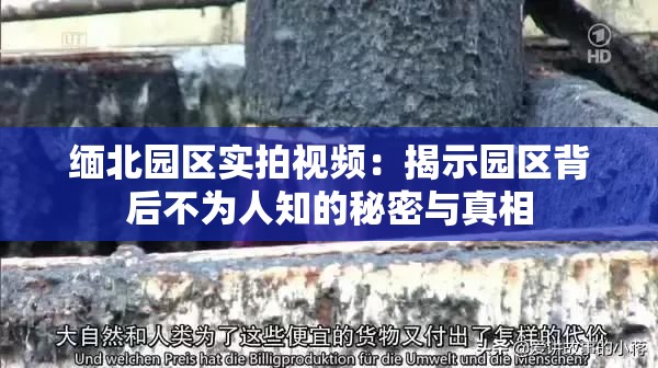 缅北园区实拍视频：揭示园区背后不为人知的秘密与真相