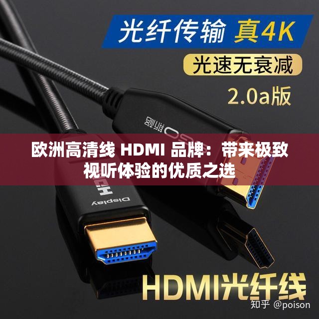 欧洲高清线 HDMI 品牌：带来极致视听体验的优质之选