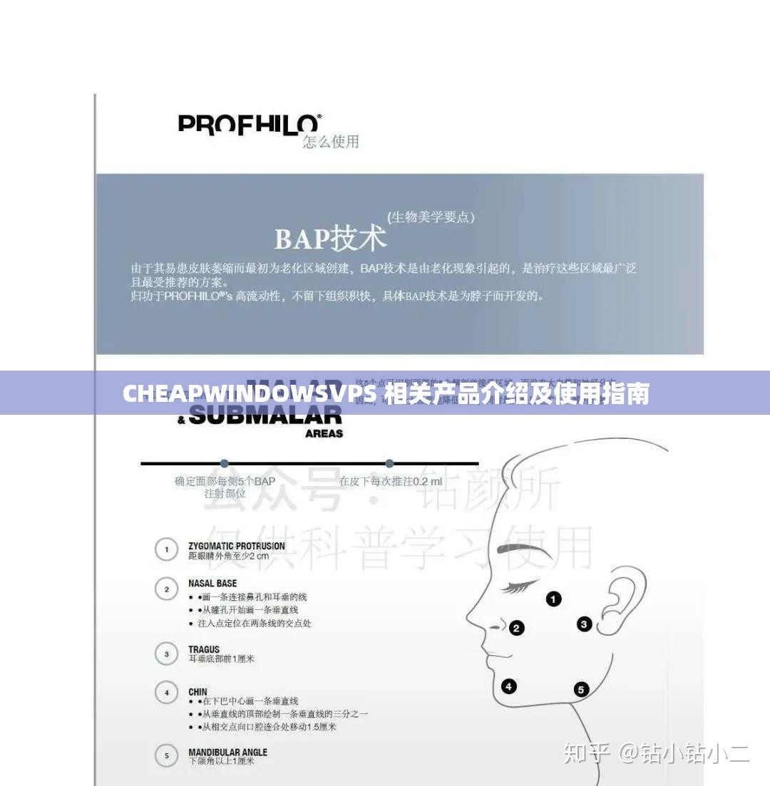 CHEAPWINDOWSVPS 相关产品介绍及使用指南