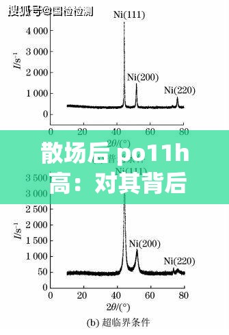 散场后 po11h 高：对其背后意义与影响的深入探讨