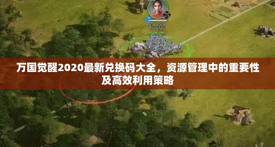 万国觉醒2020最新兑换码大全，资源管理中的重要性及高效利用策略