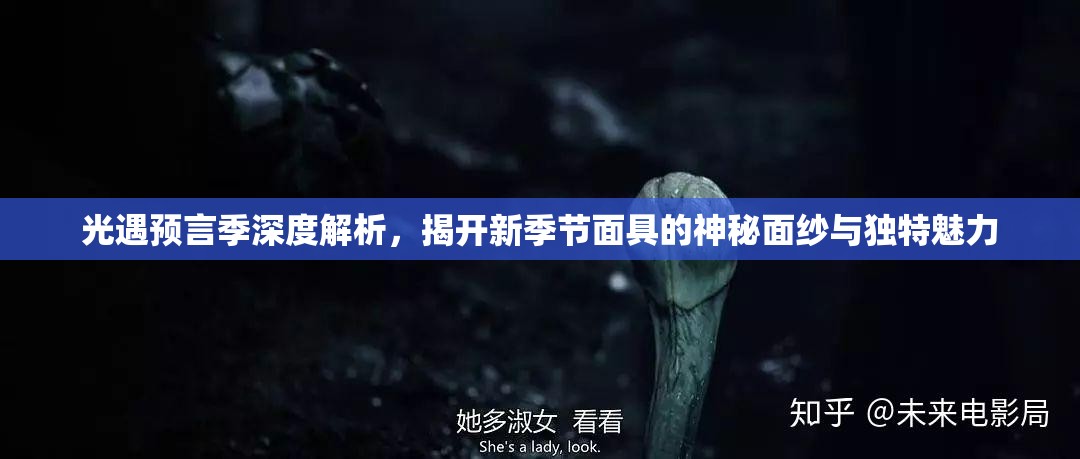 光遇预言季深度解析，揭开新季节面具的神秘面纱与独特魅力