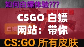 CSGO 白嫖网站：带你畅玩无需氪金的绝佳平台
