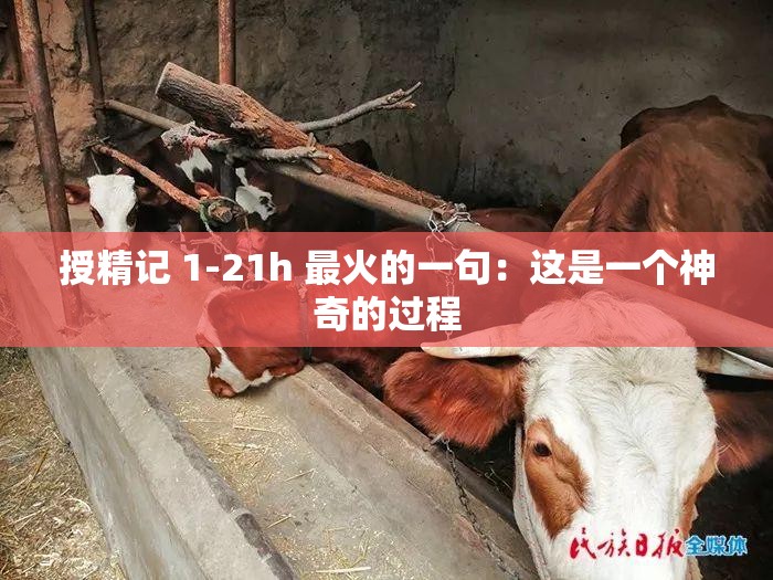 授精记 1-21h 最火的一句：这是一个神奇的过程