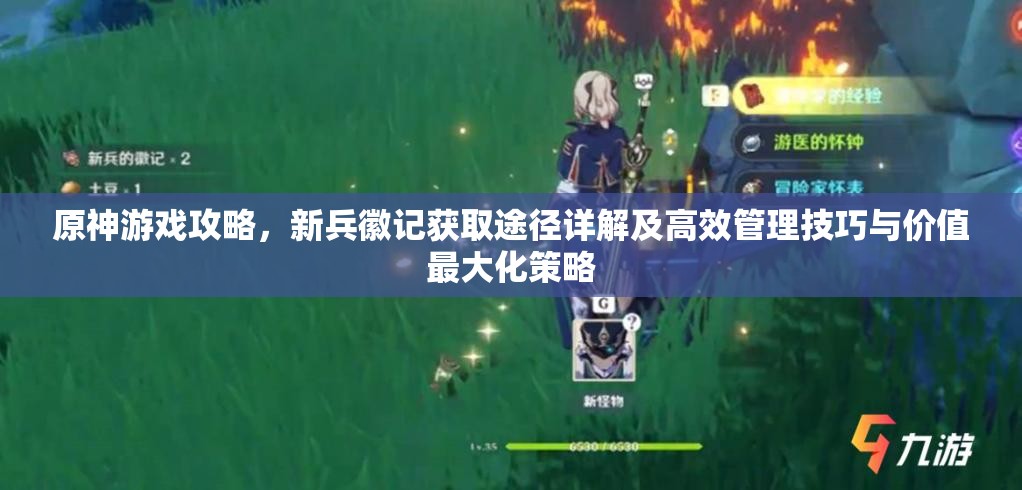 原神游戏攻略，新兵徽记获取途径详解及高效管理技巧与价值最大化策略