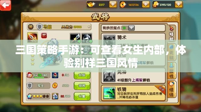 三国策略手游：可查看女生内部，体验别样三国风情