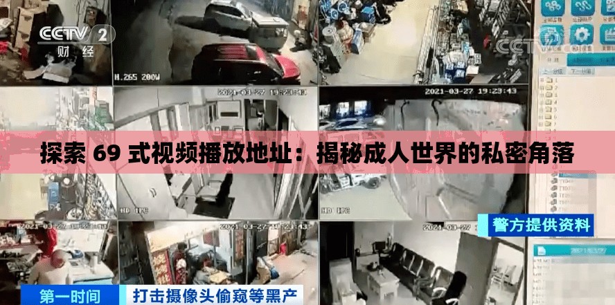 探索 69 式视频播放地址：揭秘成人世界的私密角落