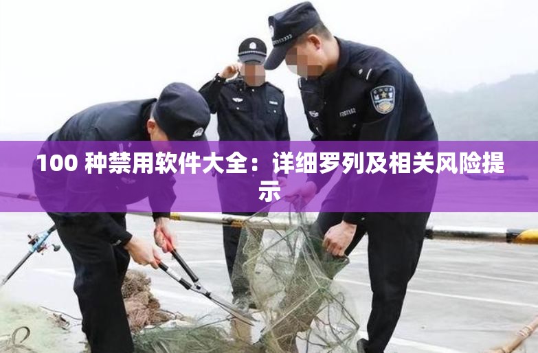 100 种禁用软件大全：详细罗列及相关风险提示