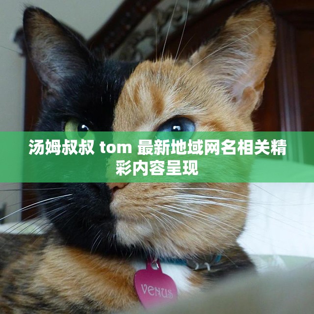 汤姆叔叔 tom 最新地域网名相关精彩内容呈现
