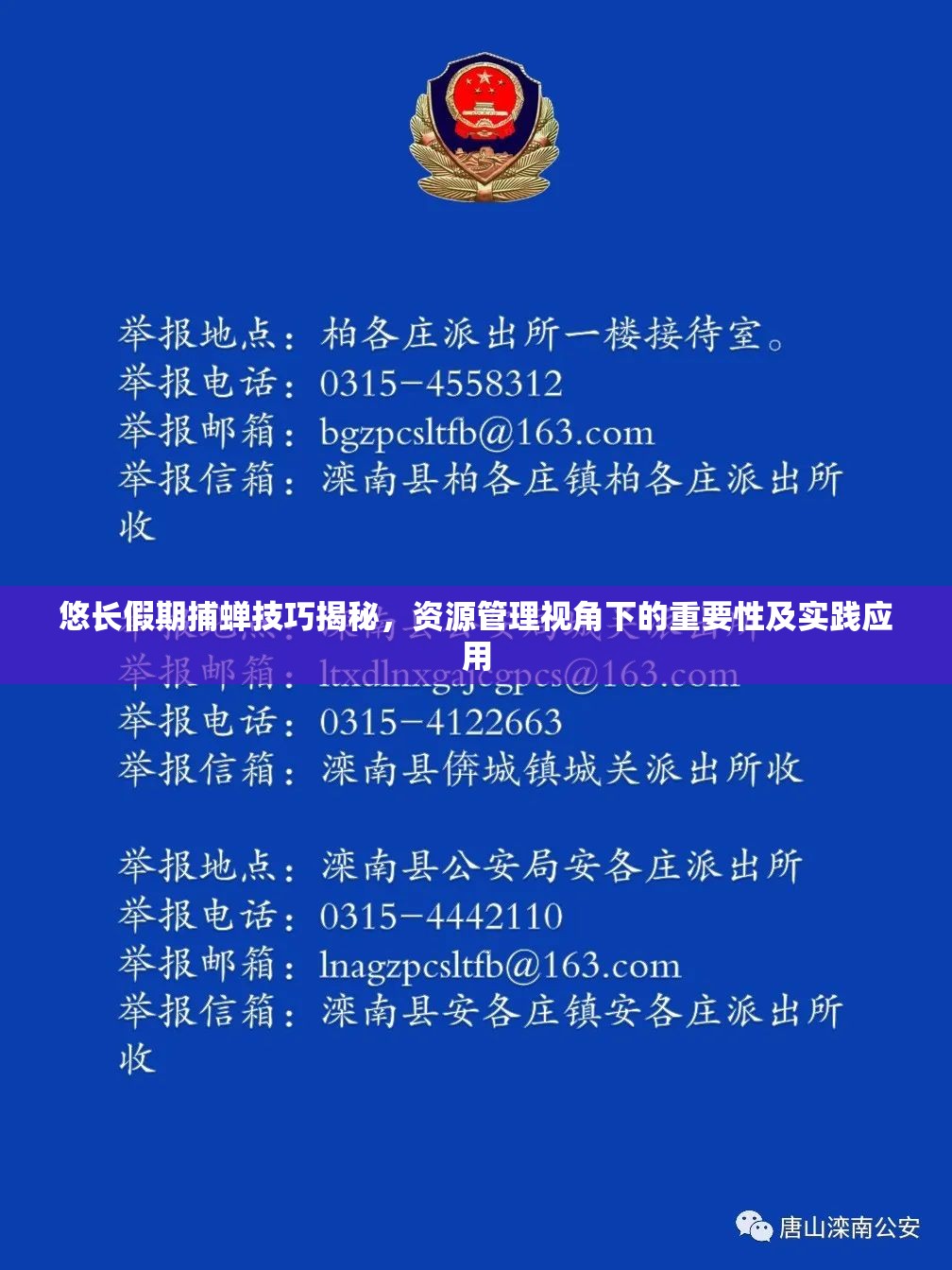 悠长假期捕蝉技巧揭秘，资源管理视角下的重要性及实践应用