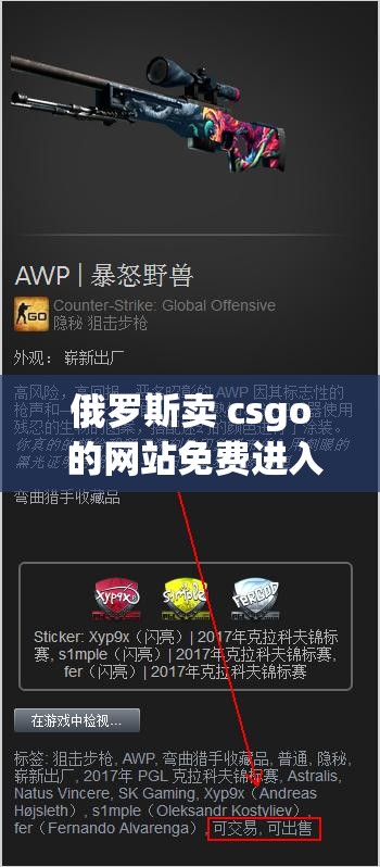 俄罗斯卖 csgo 的网站免费进入：快来体验不一样的游戏世界