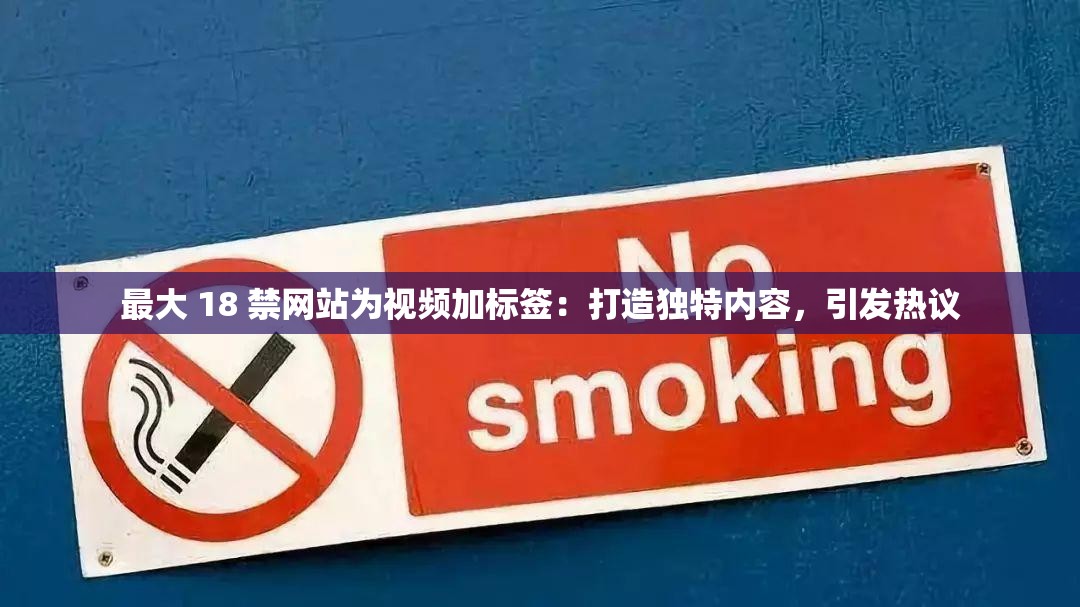 最大 18 禁网站为视频加标签：打造独特内容，引发热议