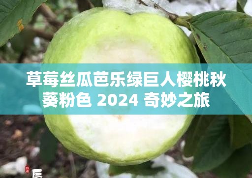 草莓丝瓜芭乐绿巨人樱桃秋葵粉色 2024 奇妙之旅