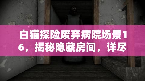 白猫探险废弃病院场景16，揭秘隐藏房间，详尽通关秘籍大公开