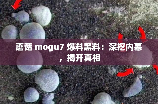 蘑菇 mogu7 爆料黑料：深挖内幕，揭开真相