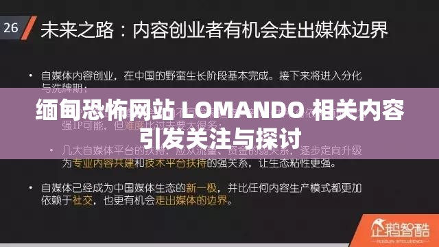 缅甸恐怖网站 LOMANDO 相关内容引发关注与探讨