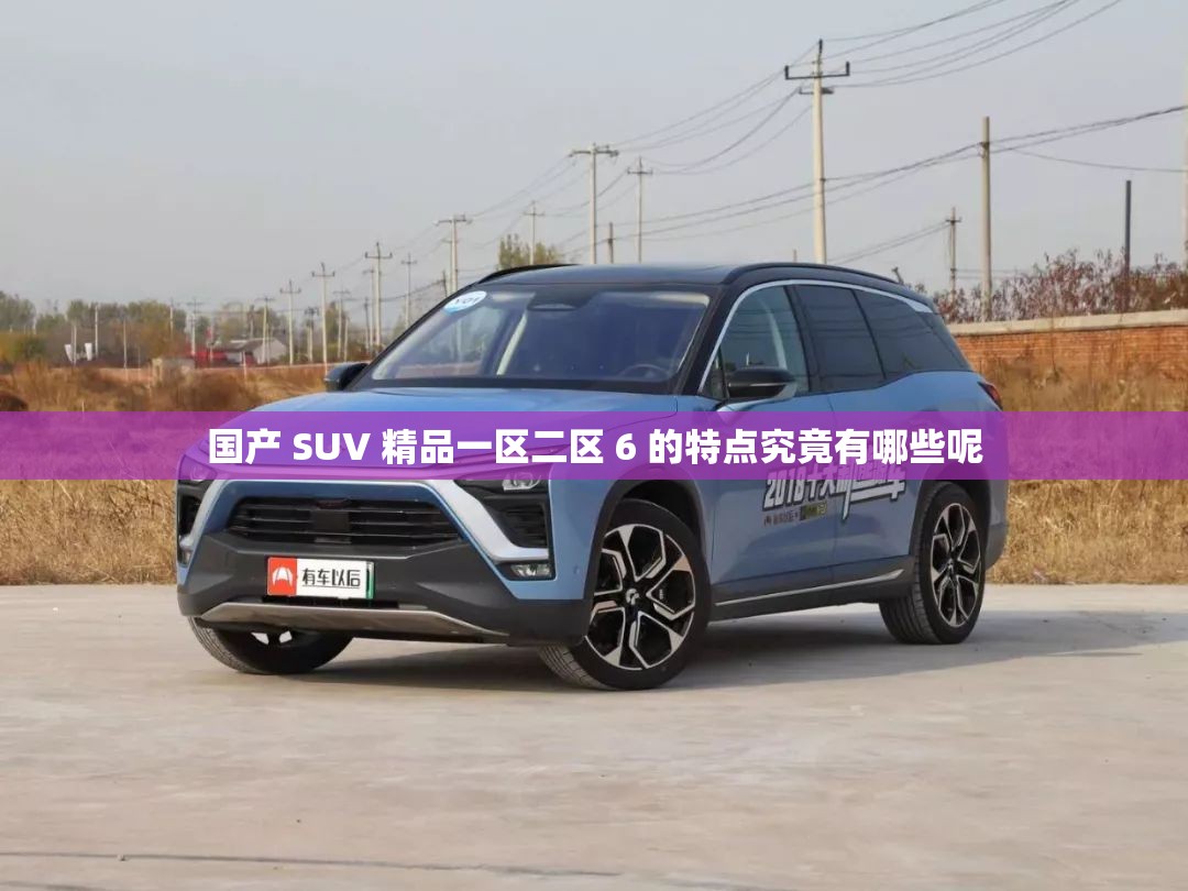 国产 SUV 精品一区二区 6 的特点究竟有哪些呢