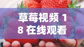 草莓视频 18 在线观看入口：畅享精彩无极限