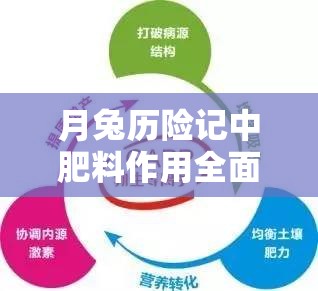 月兔历险记中肥料作用全面解析，优化资源管理，实现高效利用并避免浪费策略