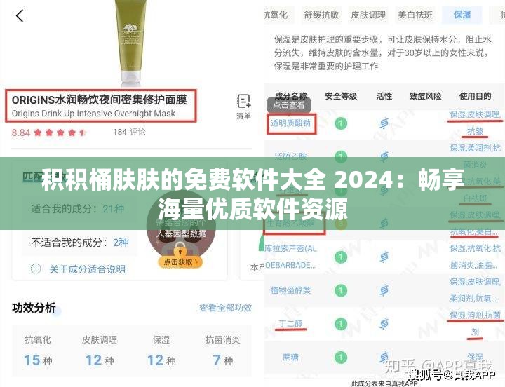 积积桶肤肤的免费软件大全 2024：畅享海量优质软件资源