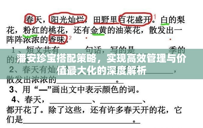 潘安珍宝搭配策略，实现高效管理与价值最大化的深度解析