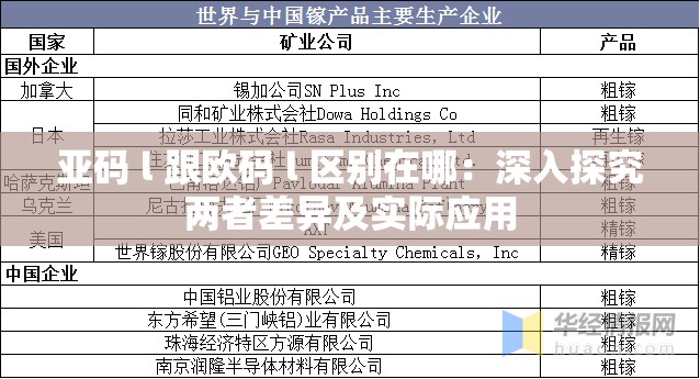 亚码 l 跟欧码 l 区别在哪：深入探究两者差异及实际应用