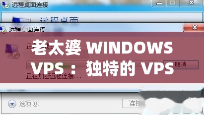 老太婆 WINDOWSVPS ：独特的 VPS 服务提供商