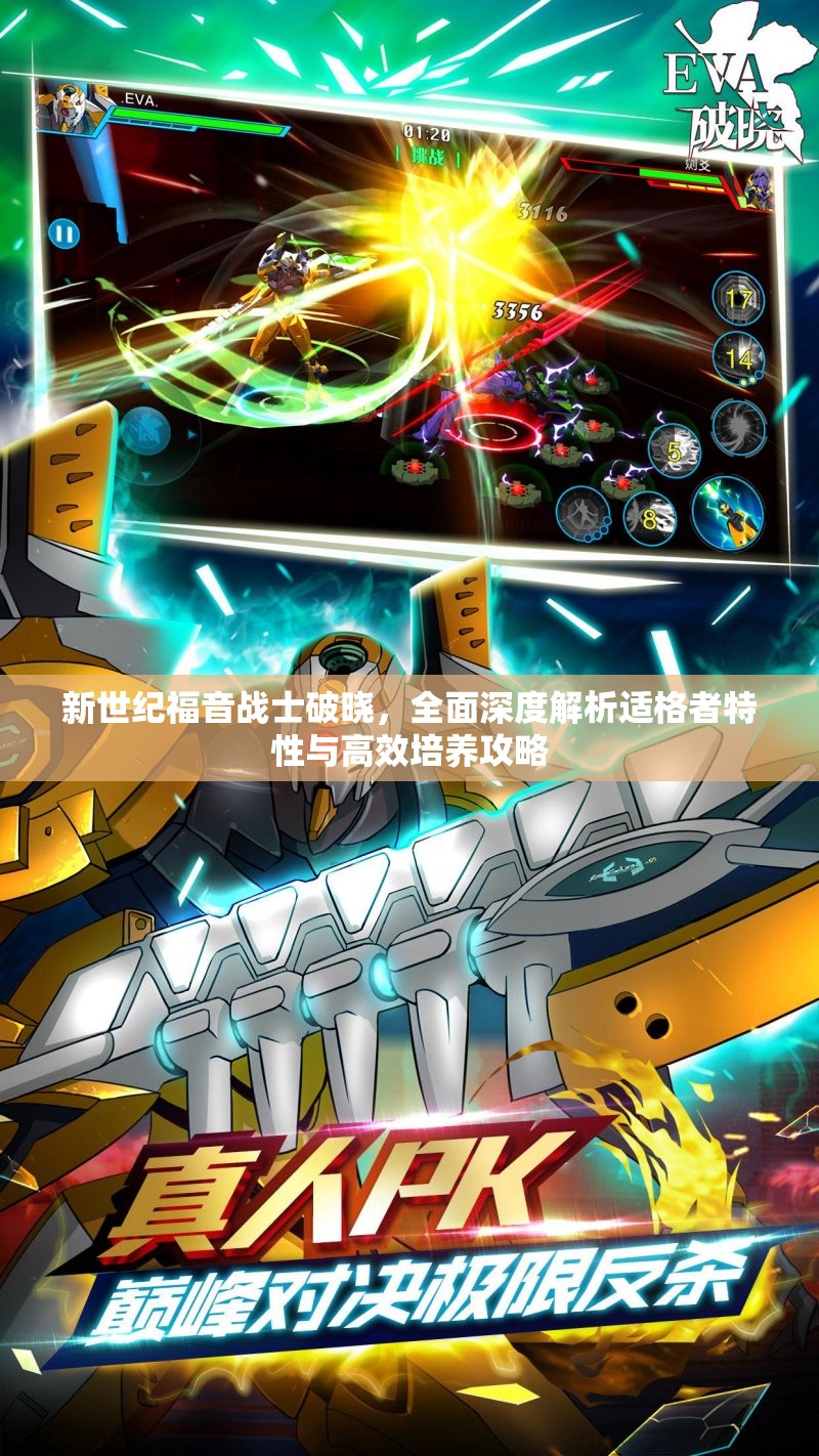 新世纪福音战士破晓，全面深度解析适格者特性与高效培养攻略