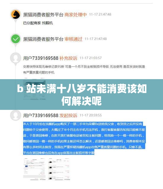 b 站未满十八岁不能消费该如何解决呢