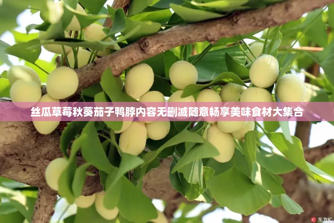 丝瓜草莓秋葵茄子鸭脖内容无删减随意畅享美味食材大集合