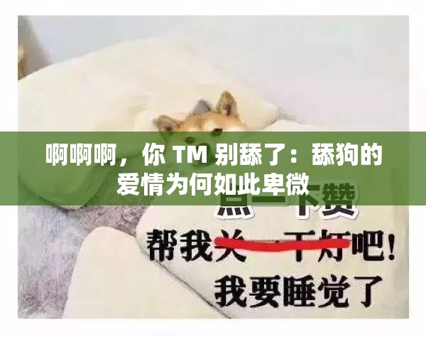 啊啊啊，你 TM 别舔了：舔狗的爱情为何如此卑微